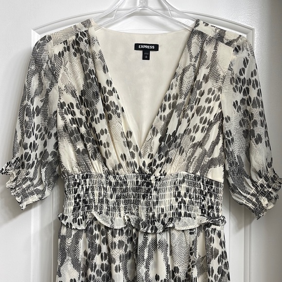 Express Animal Print Dress - Picture 3 of 4